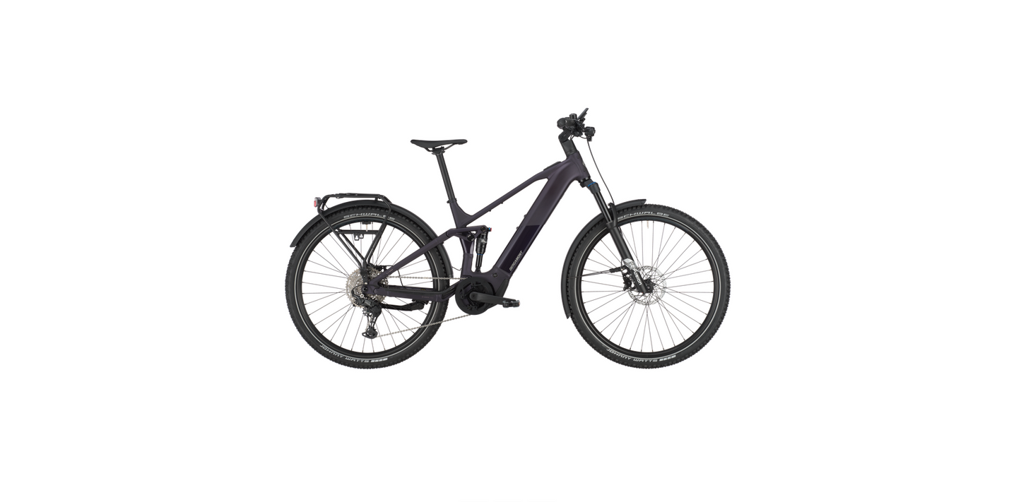 Bergamont E-Horizon SUV FS 10