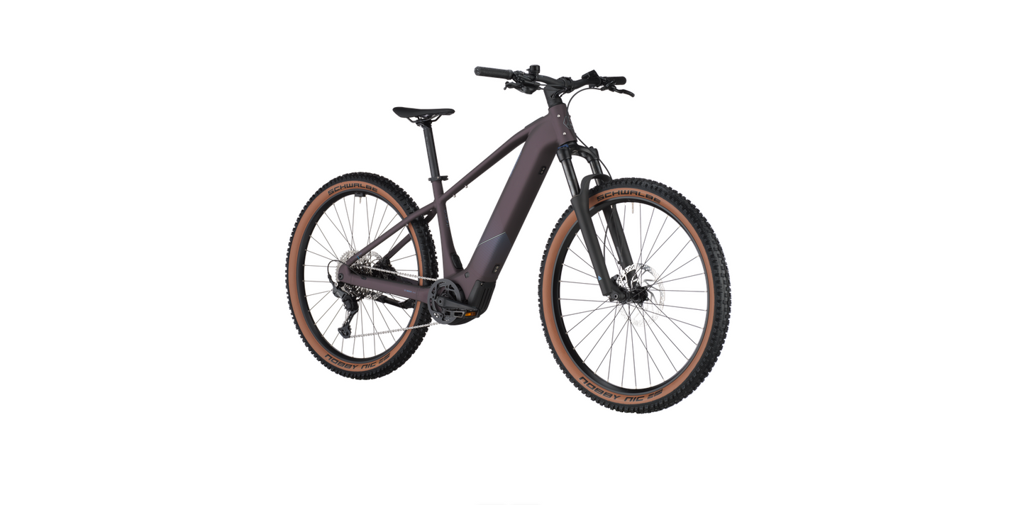 Bergamont E-Revox Sport 20