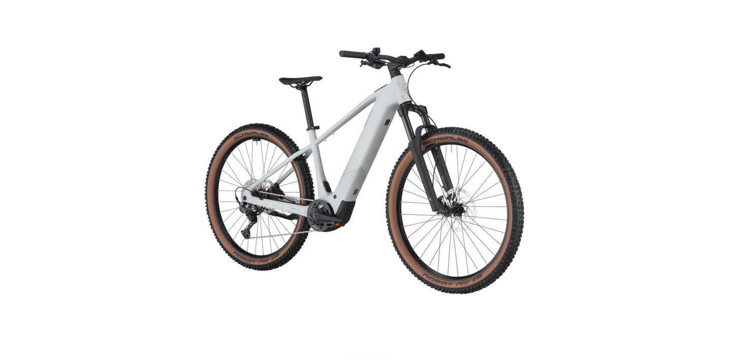 Bergamont E-Revox Sport 20