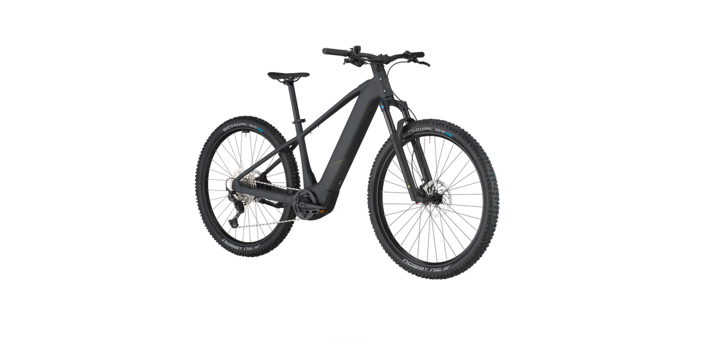 Bergamont E-Revox Sport 10