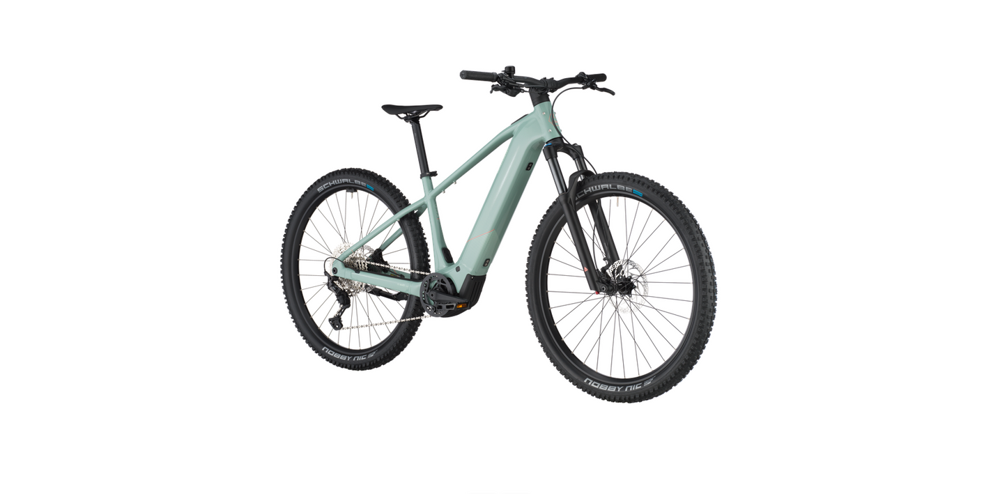 Bergamont E-Revox Sport 10