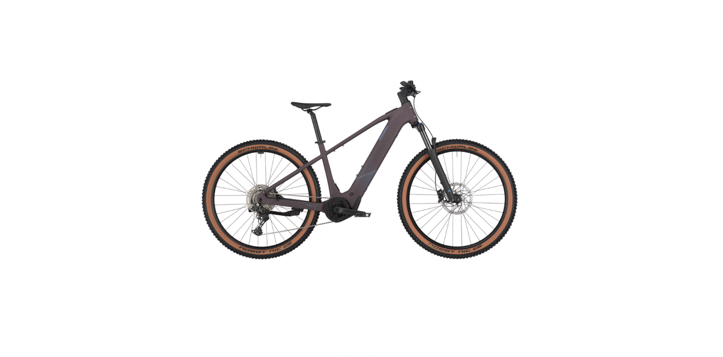 Bergamont E-Revox Sport 20