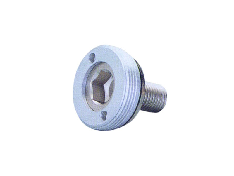 Kurbelarmschraube Niro