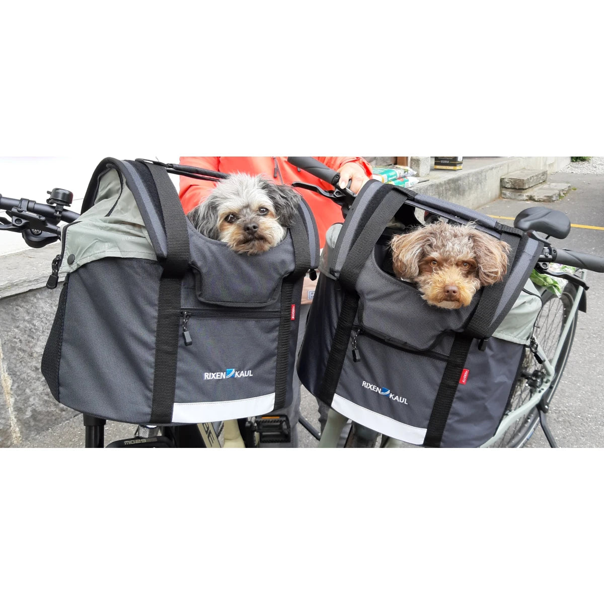 KlickFix Doggy