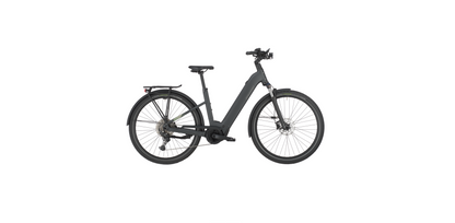 Bergamont E-Horizon Sport 20 Wave