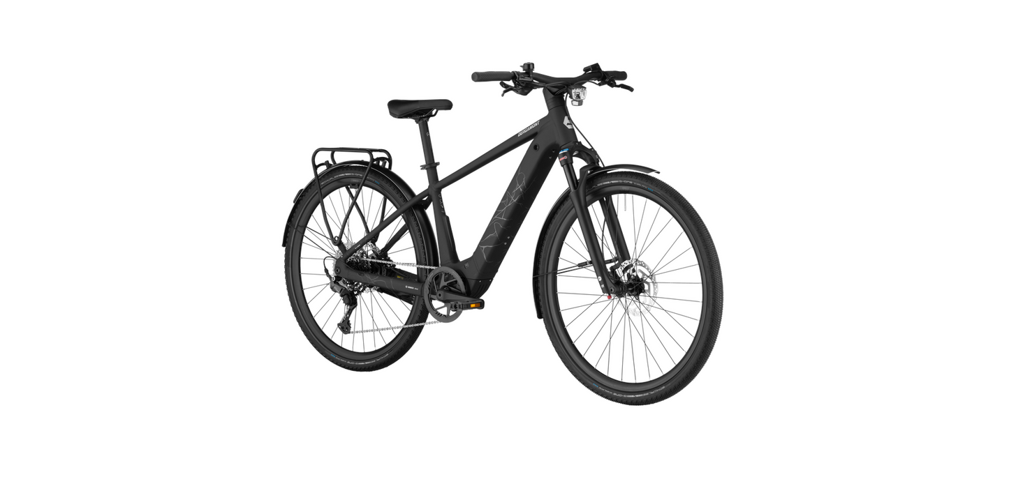 Bergamont Helix 20