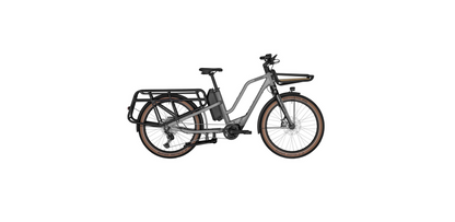 Bergamont E-Cargoville LT Expert