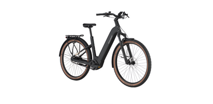 Bergamont E-Horizon SUV 20 Belt Wave