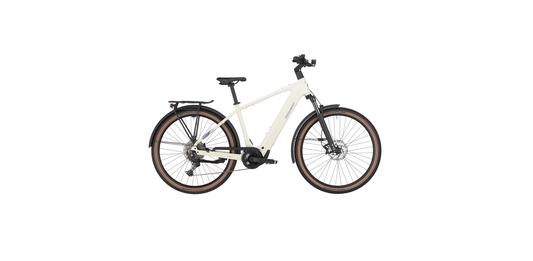Bergamont E-Horizon SUV 30