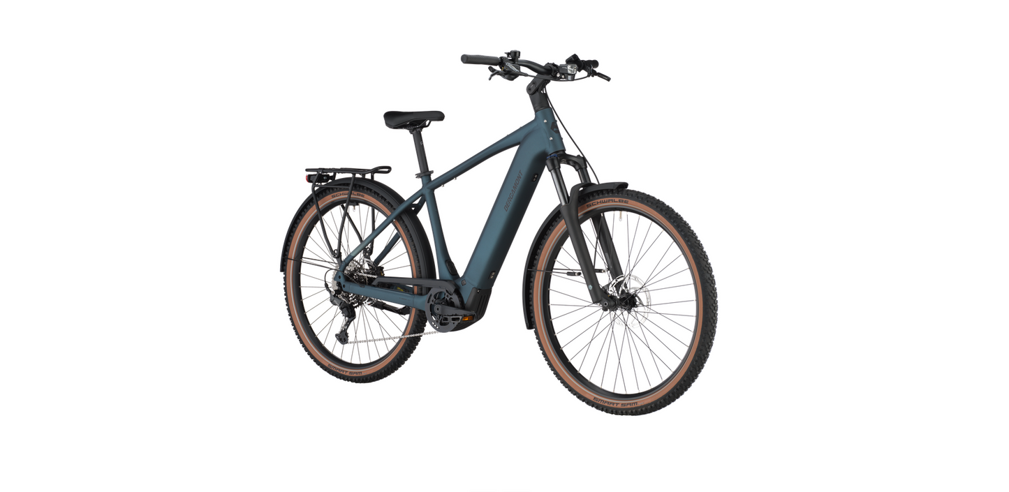 Bergamont E-Horizon SUV 30