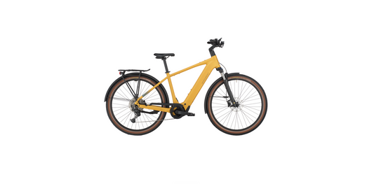Bergamont E-Horizon Sport 20