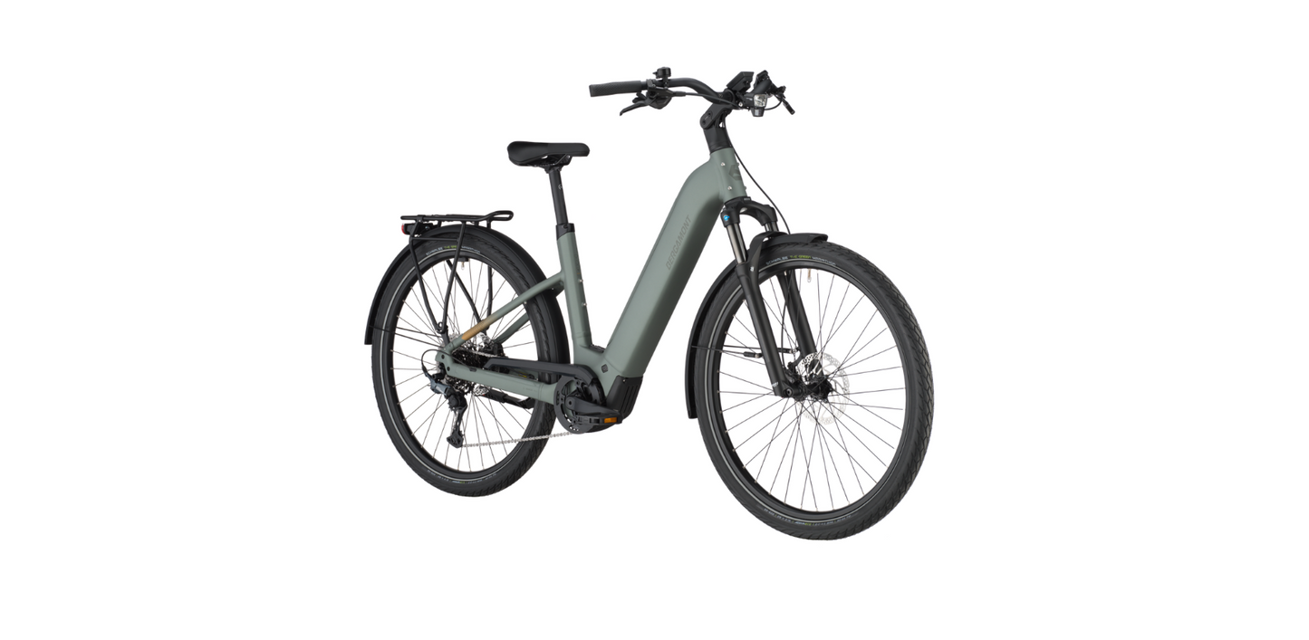 Bergamont E-Horizon Sport 10 Wave