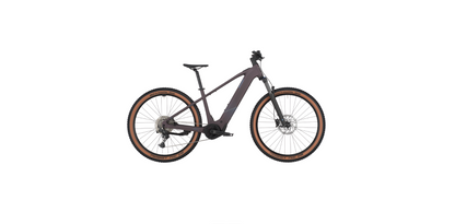 Bergamont E-Revox Sport 20