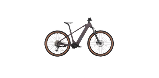 Bergamont E-Revox Sport 20