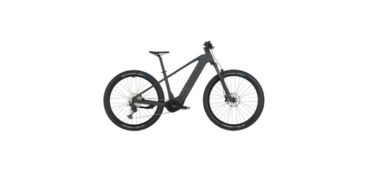 Bergamont E-Revox Sport 10
