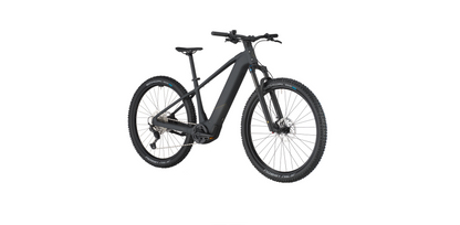Bergamont E-Revox Sport 10