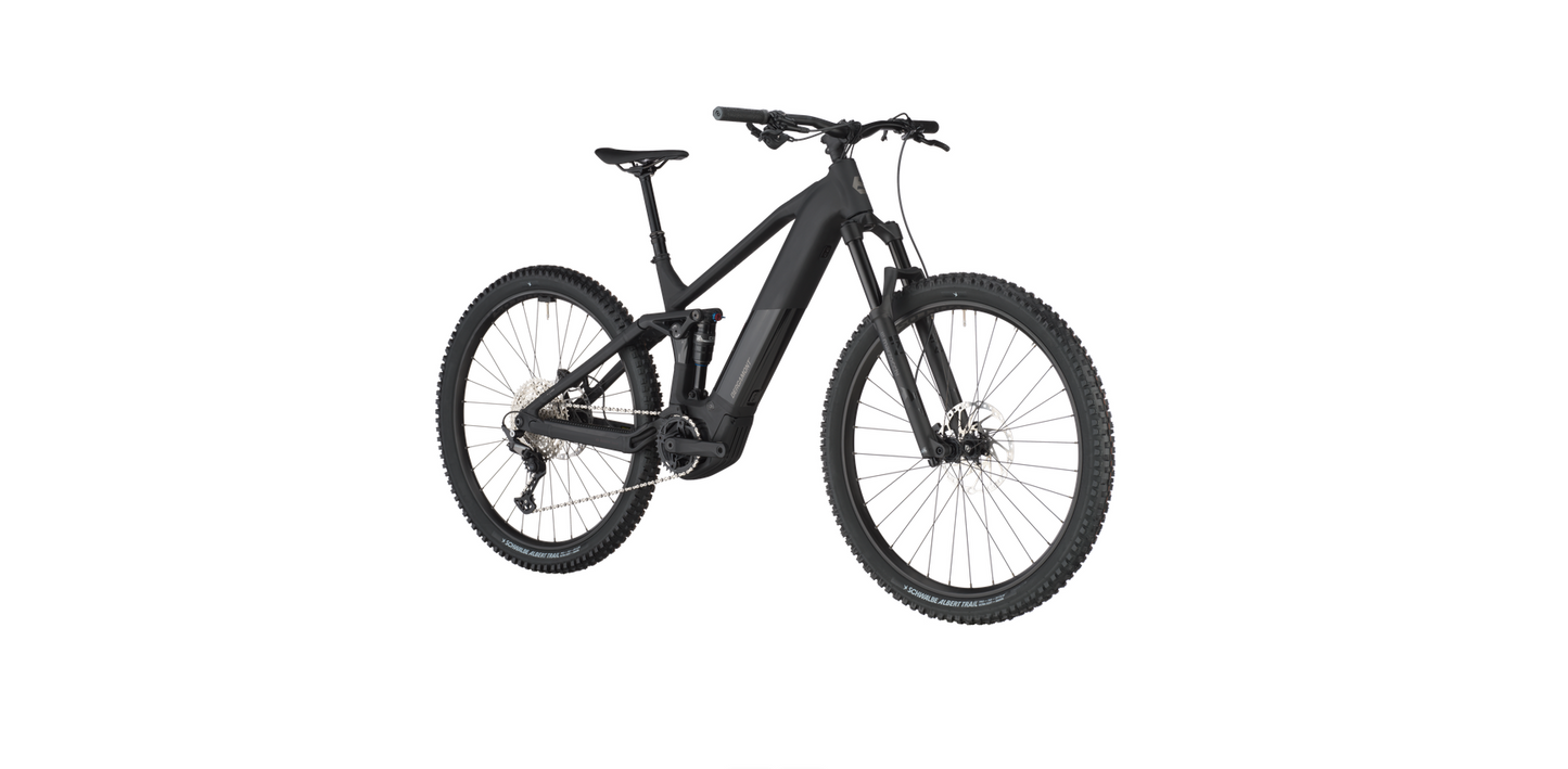 Bergamont E-Revox FS 20