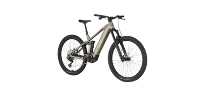 Bergamont E-Revox FS 10