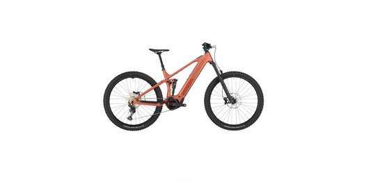 Bergamont E-Revox FS 20